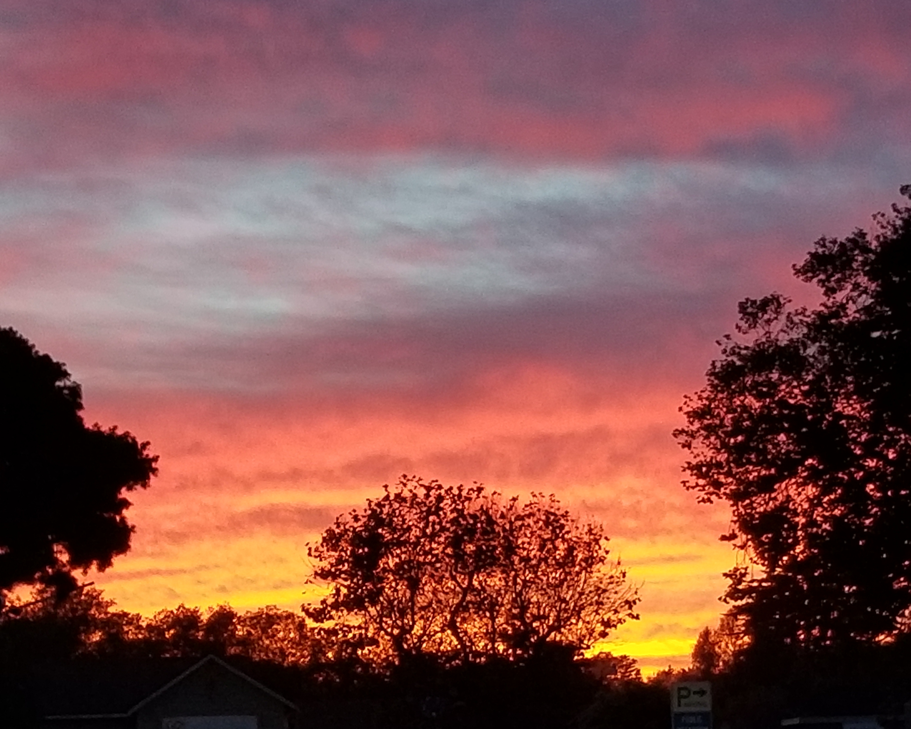 20220226_104832.jpg