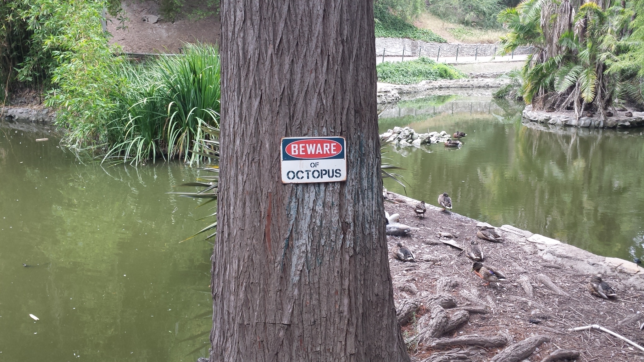 20190817_115738.jpg