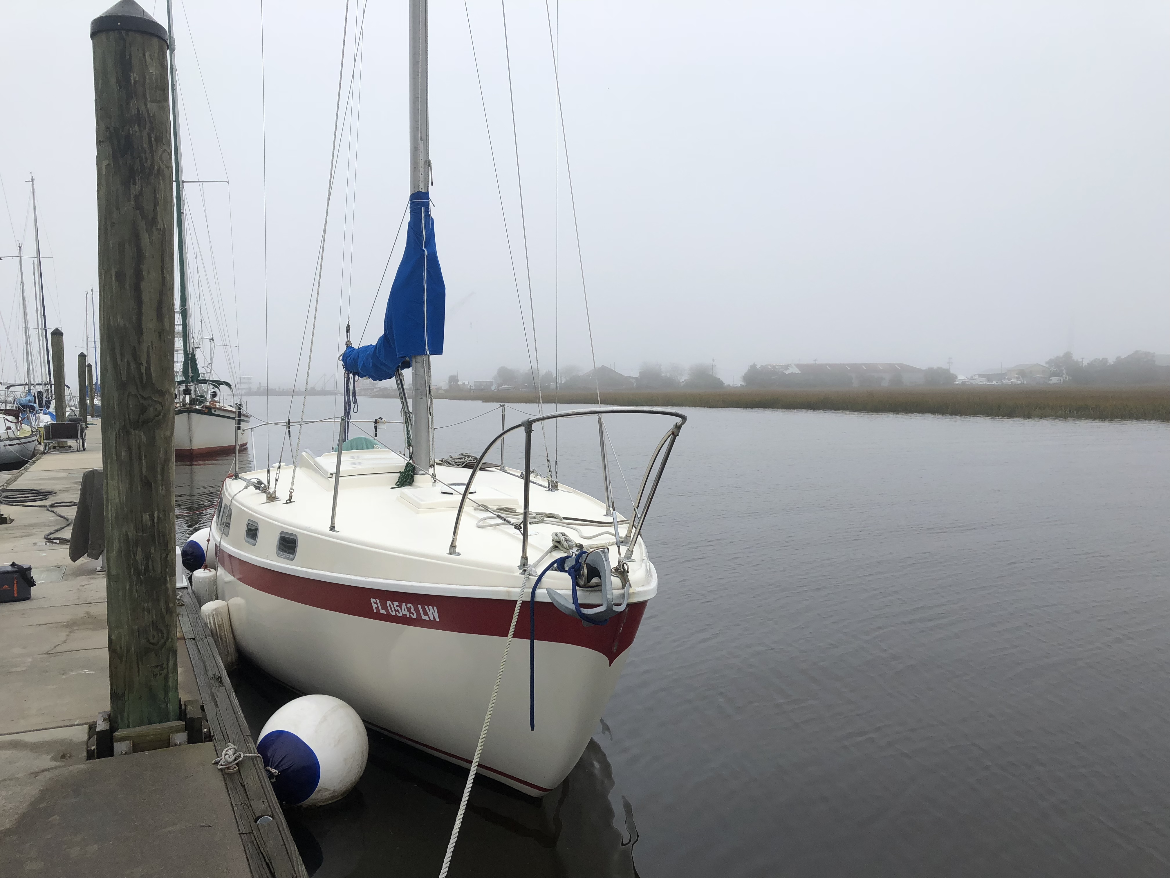 00D68284-B3F8-4533-8BB9-A410BBABC208.jpeg