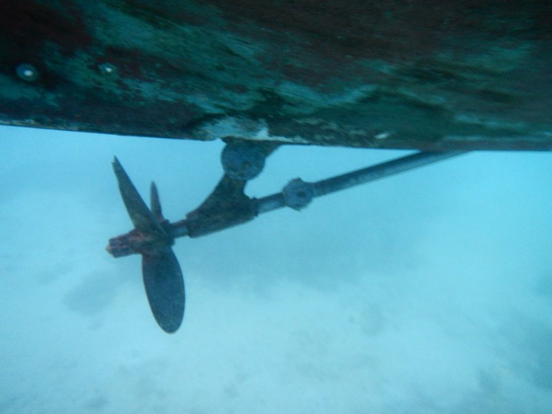 1-DSCN5108.JPG