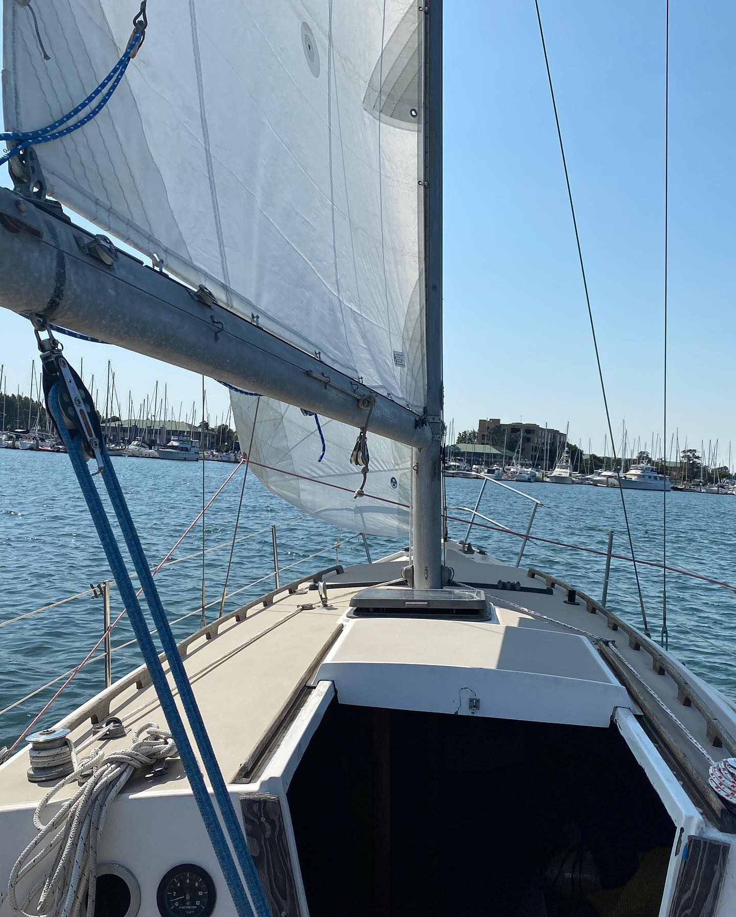 sailing1.jpg