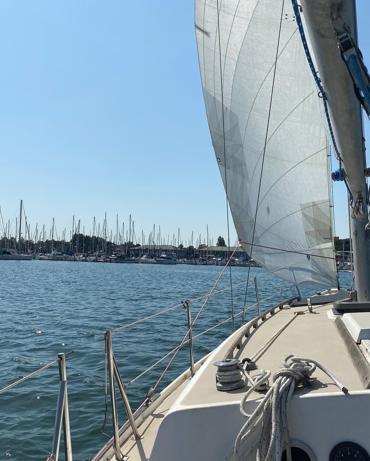 sailing2.jpg