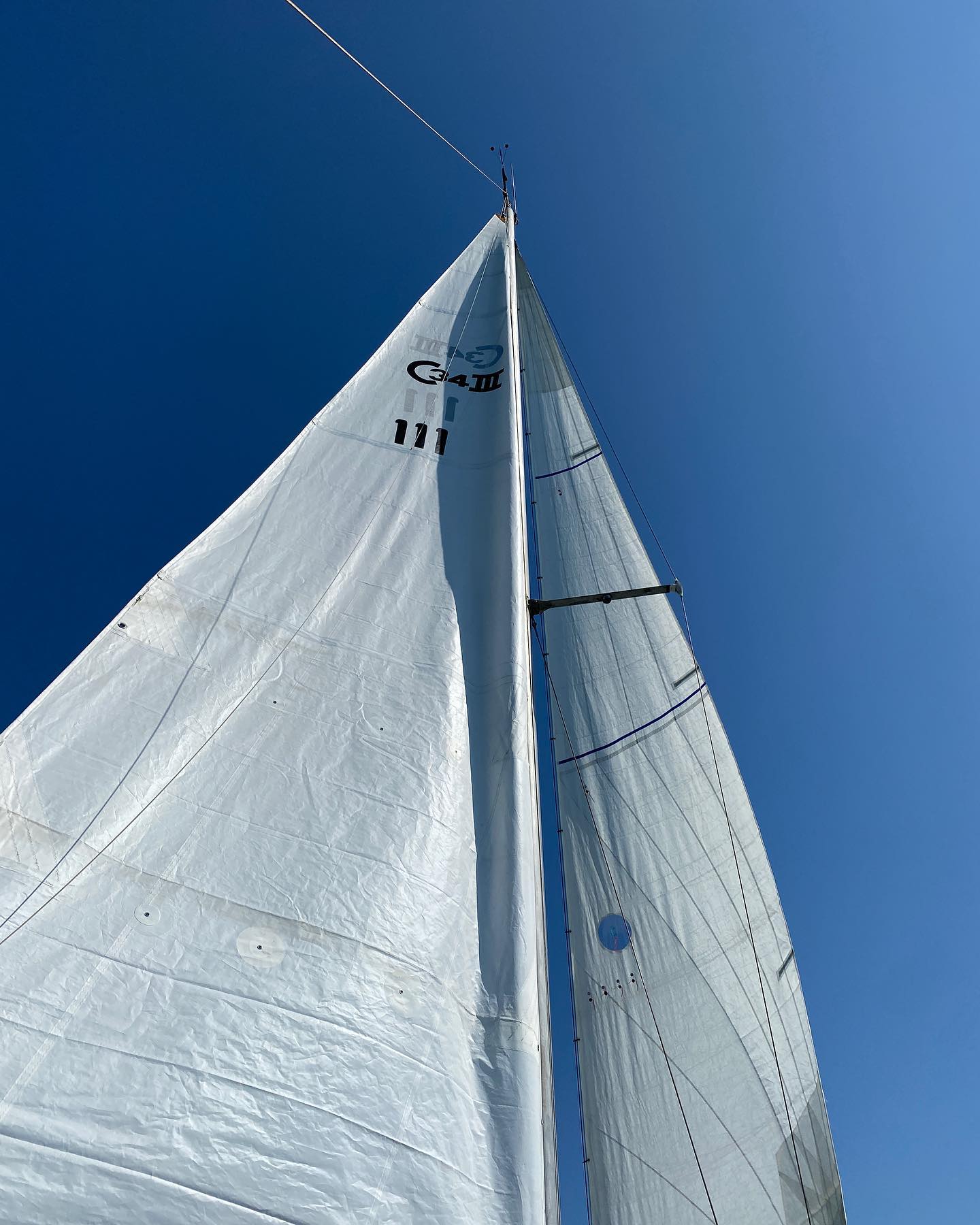 sailing3.jpg