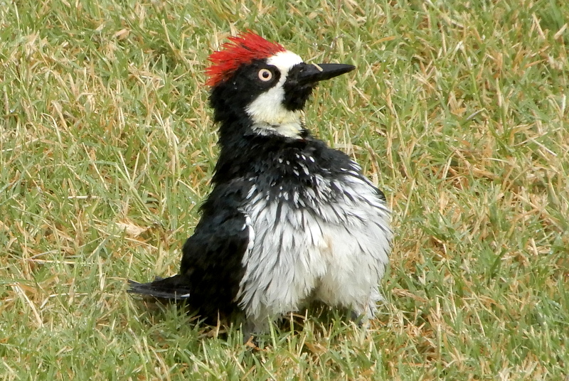 DSCN8179.JPG