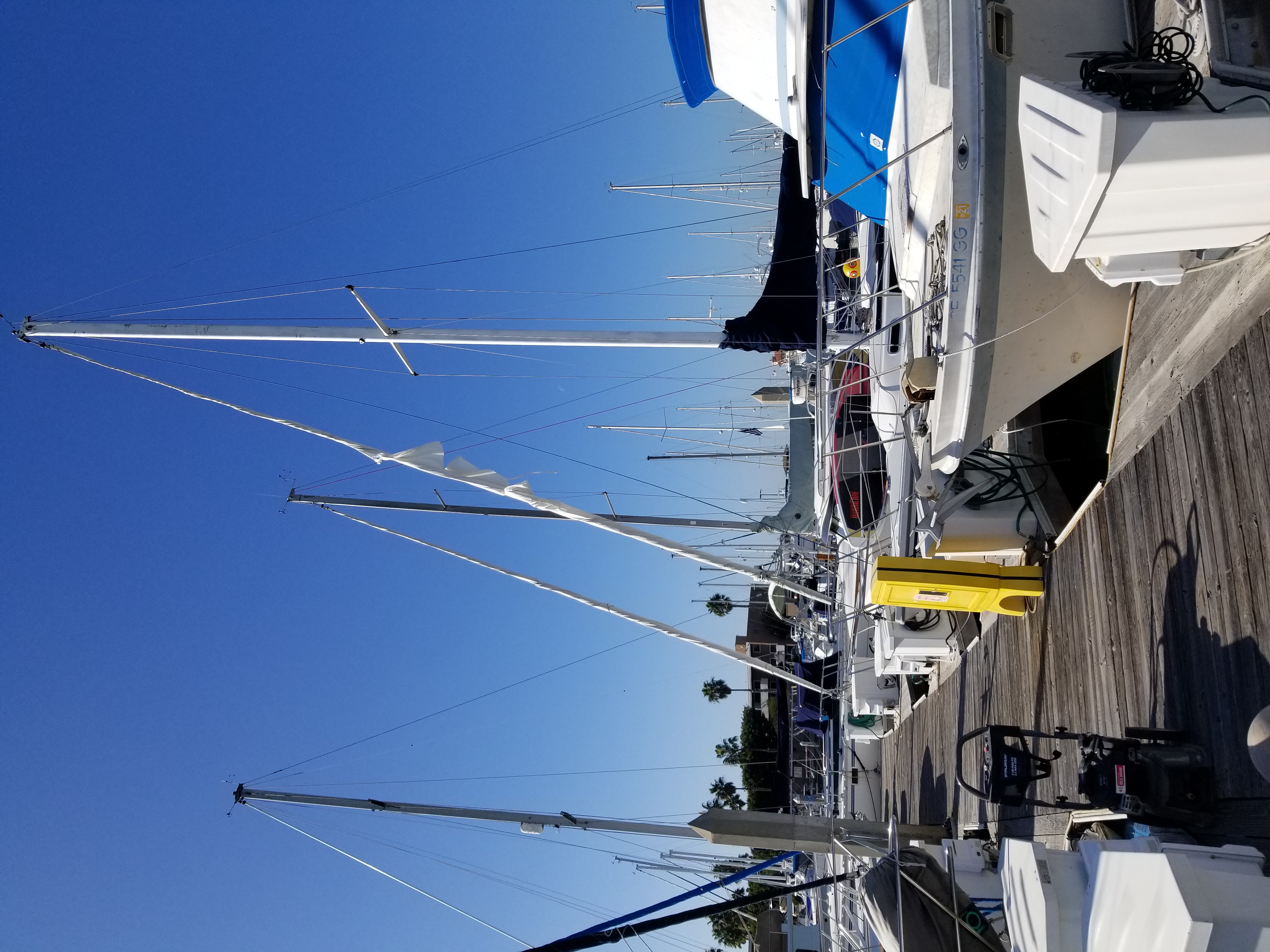 20201109_123336.jpg