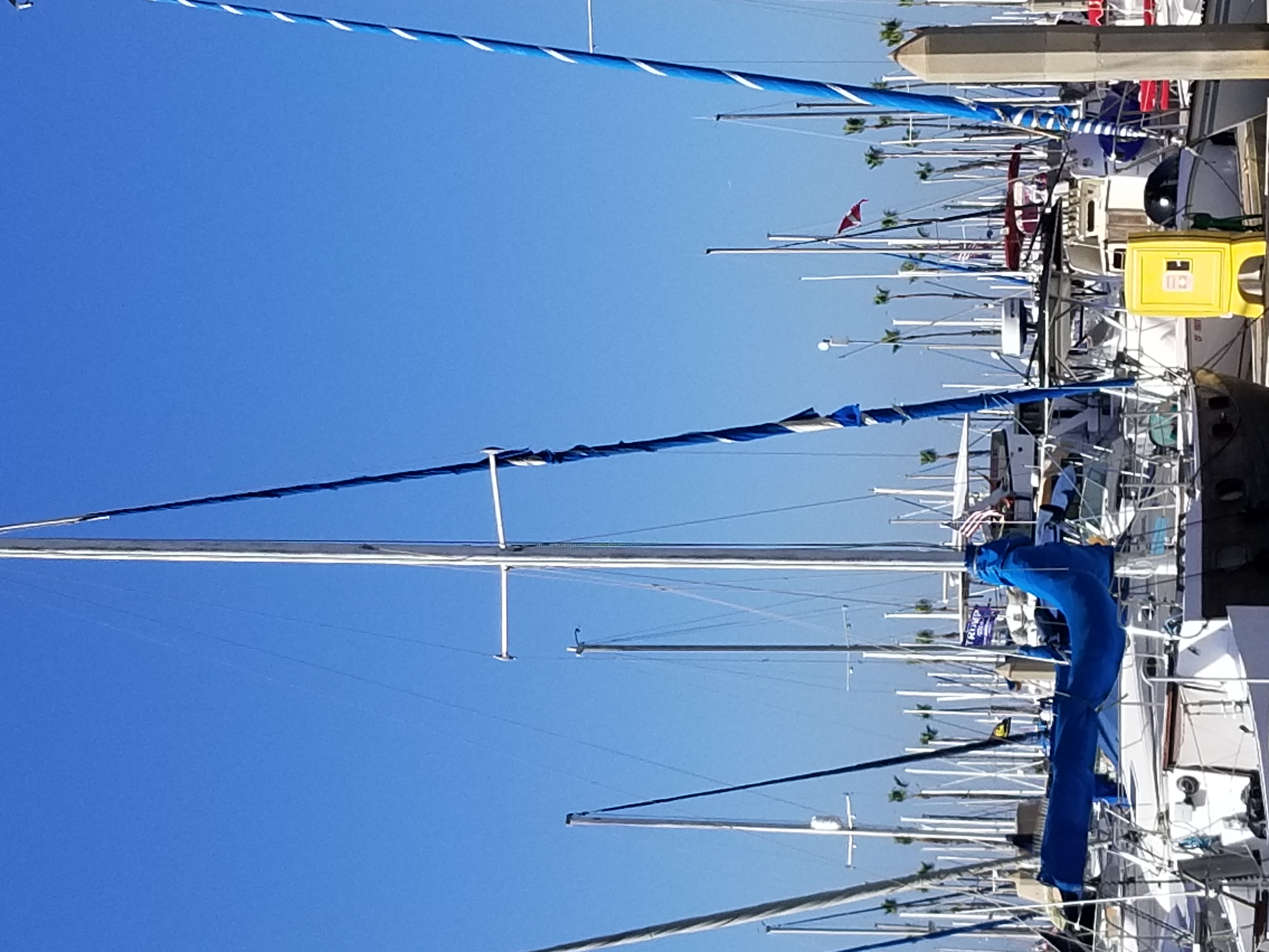 20201109_123244.jpg